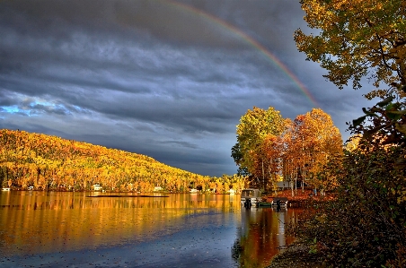 Landscape tree nature mountain Photo