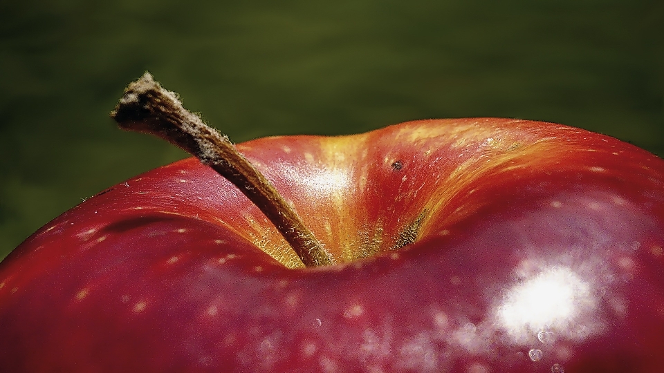 Apple 植物 摄影 水果