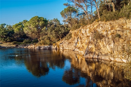 Zdjęcie Krajobraz drzewo woda natura