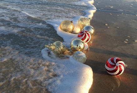 Beach sea water sand Photo