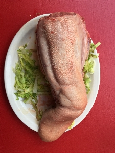 Hand farm dish meal Photo