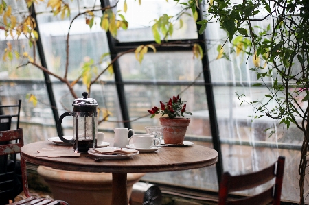 Foto Meja kopi sinar matahari bunga