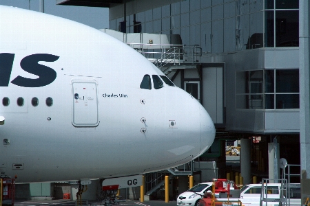 Fliege flugzeug fahrzeug fluggesellschaft Foto