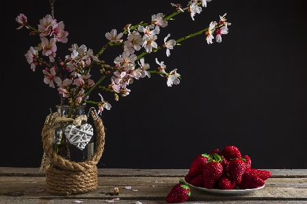 ブランチ 花 植物 木 写真