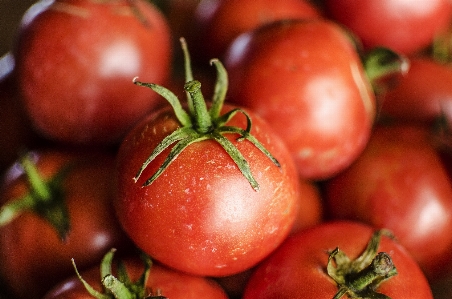 Foto Alam tanaman vine buah