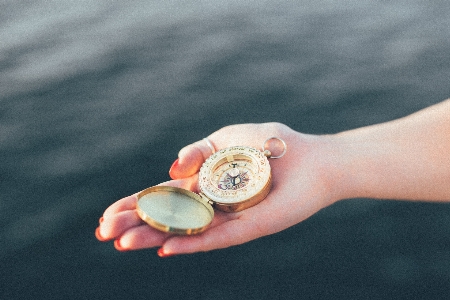 Hand ring petal adventure Photo