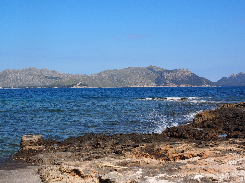 海滩 景观 海 海岸