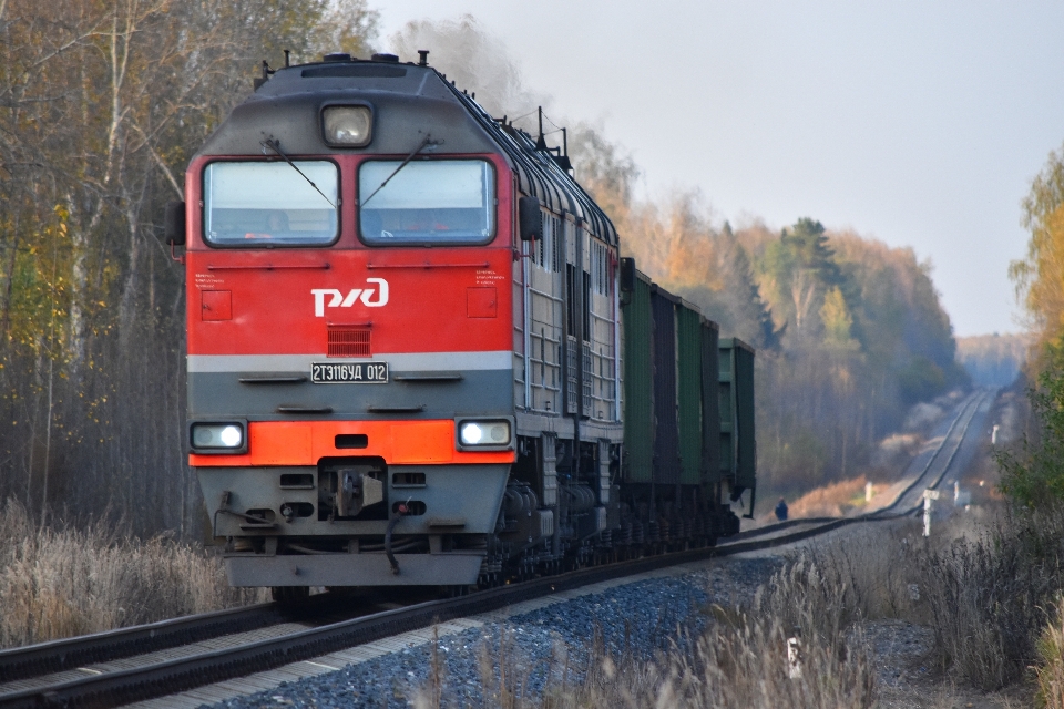 Natura traccia treno trasporto