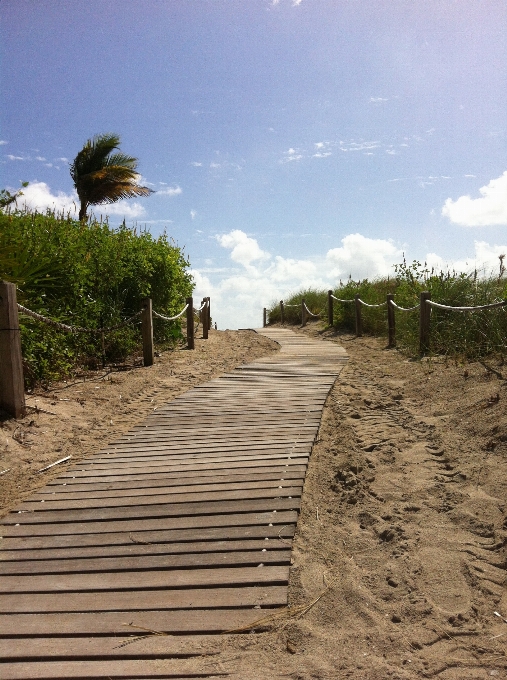 Playa mar costa arena