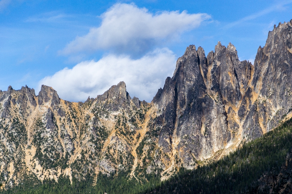 Paesaggio albero natura rock