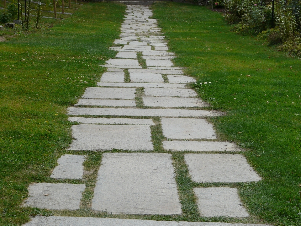 道 草 芝生 歩道
