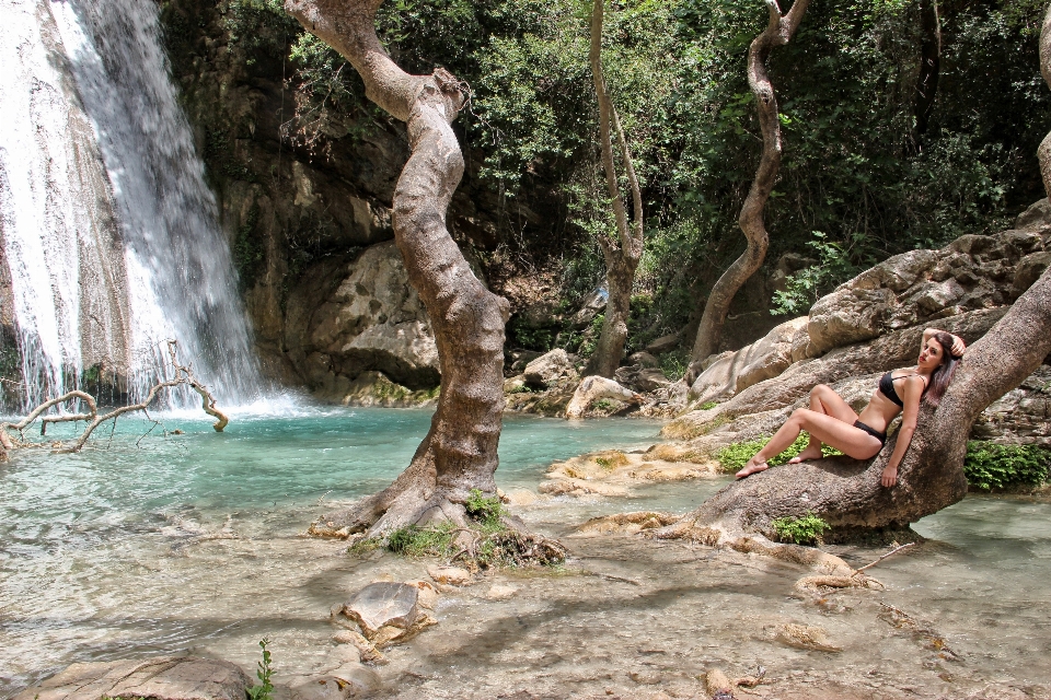 Ağaç orman rock el değmemiş doğa
