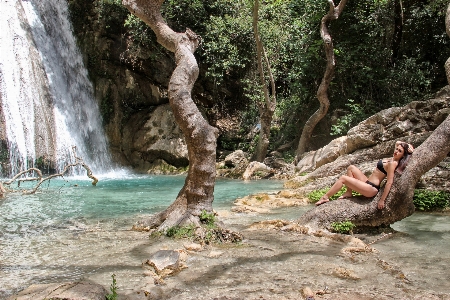 Foto Albero foresta rock natura selvaggia
