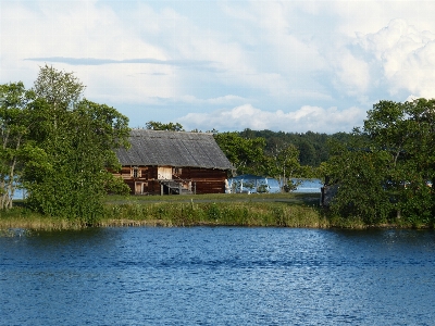 Tree water wood house Photo