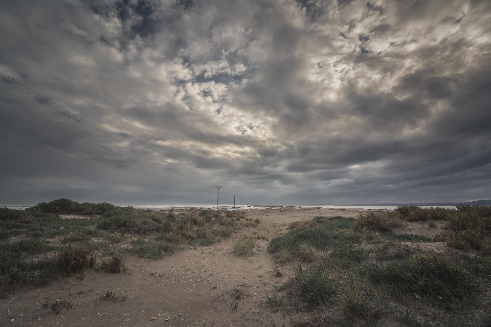 Beach landscape sea coast