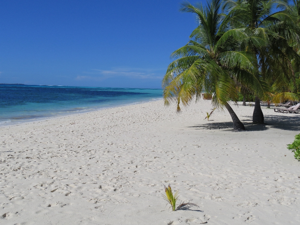 Praia mar costa água