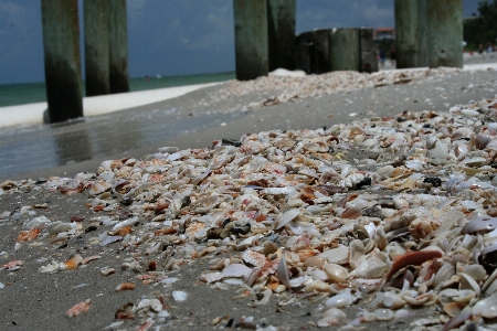 Strand sand blatt herbst Foto