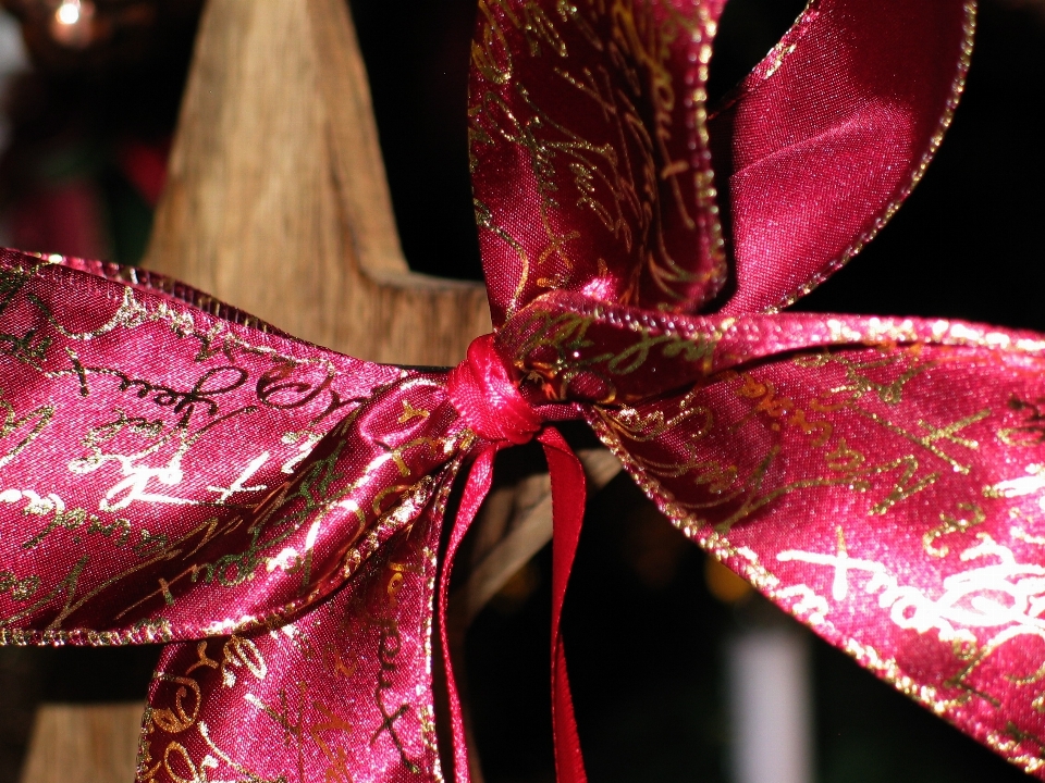 Fiore petalo celebrazione regalo