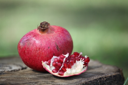 Фото Apple растение фотография фрукты