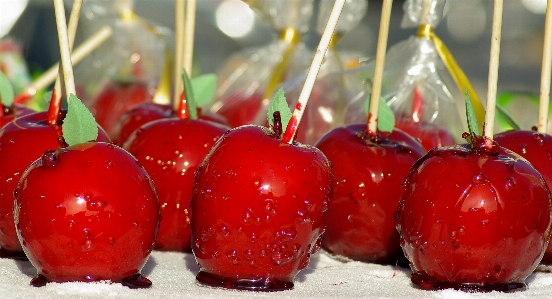 Foto Pianta frutta cibo rosso