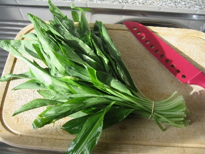 Plant flower dish food Photo