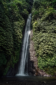 風景 水 自然 森 写真