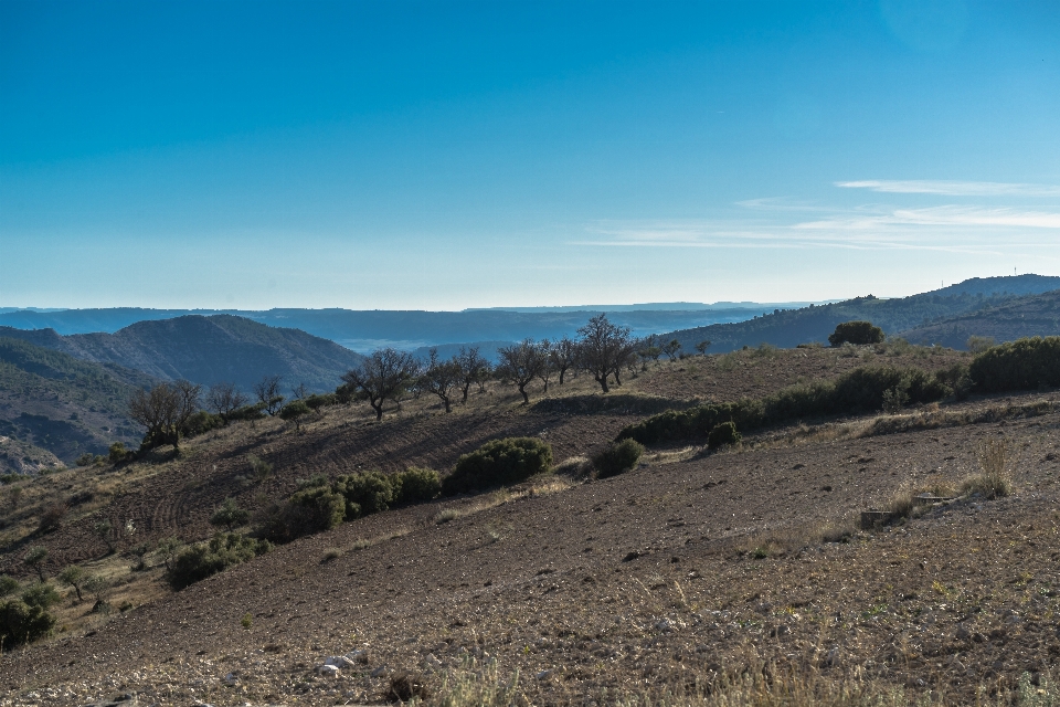 Landscape nature horizon wilderness