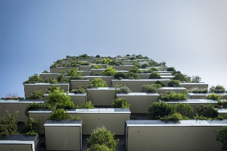 建築 家 建物 郊外 写真