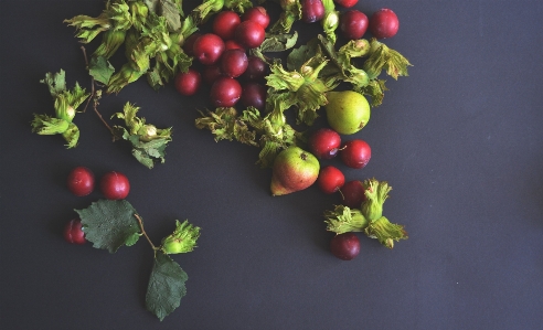 Nature branch plant fruit Photo