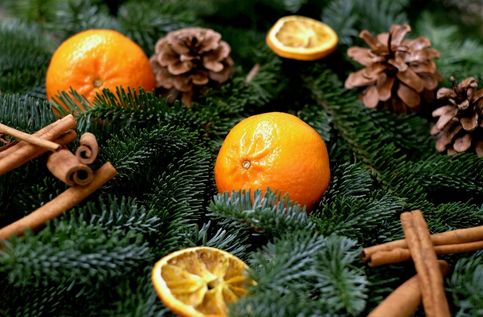 Tree branch fruit decoration