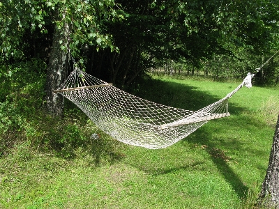 Nature wing summer hammock Photo