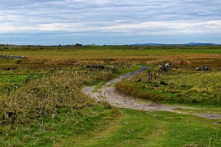 Landscape coast nature grass Photo