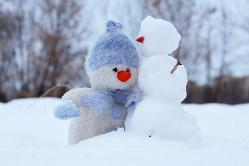 自然 雪 冬天 白色的