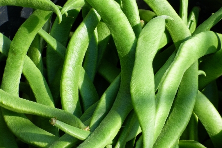 植物 水果 叶子 花 照片