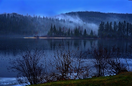 Landscape tree water nature Photo