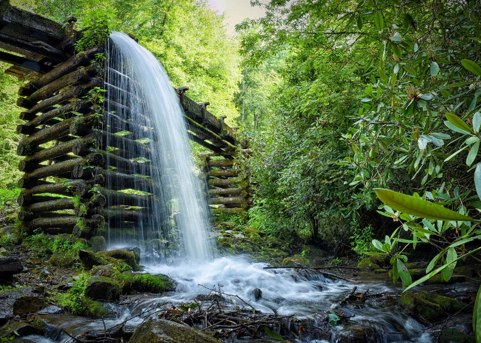 Paisaje agua bosque cascada