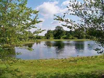 Landscape tree water nature Photo