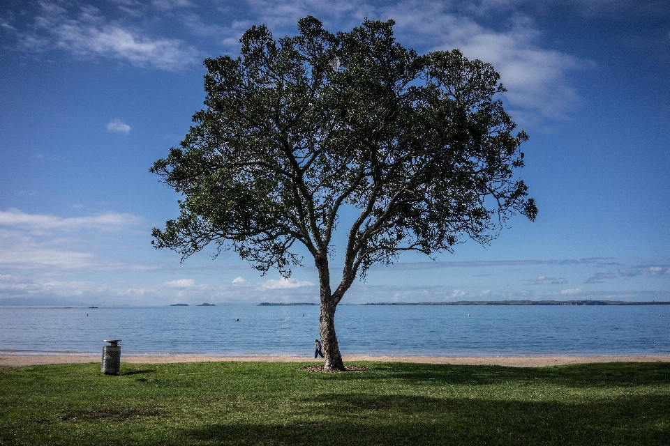 Beach landscape sea coast