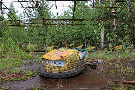 Urban pond rust jungle Photo