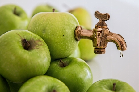 Apple liquid plant fruit Photo