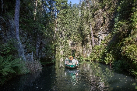 Forest wilderness river stream Photo