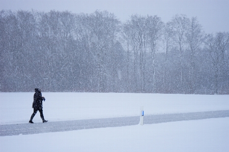 Landscape person snow cold Photo