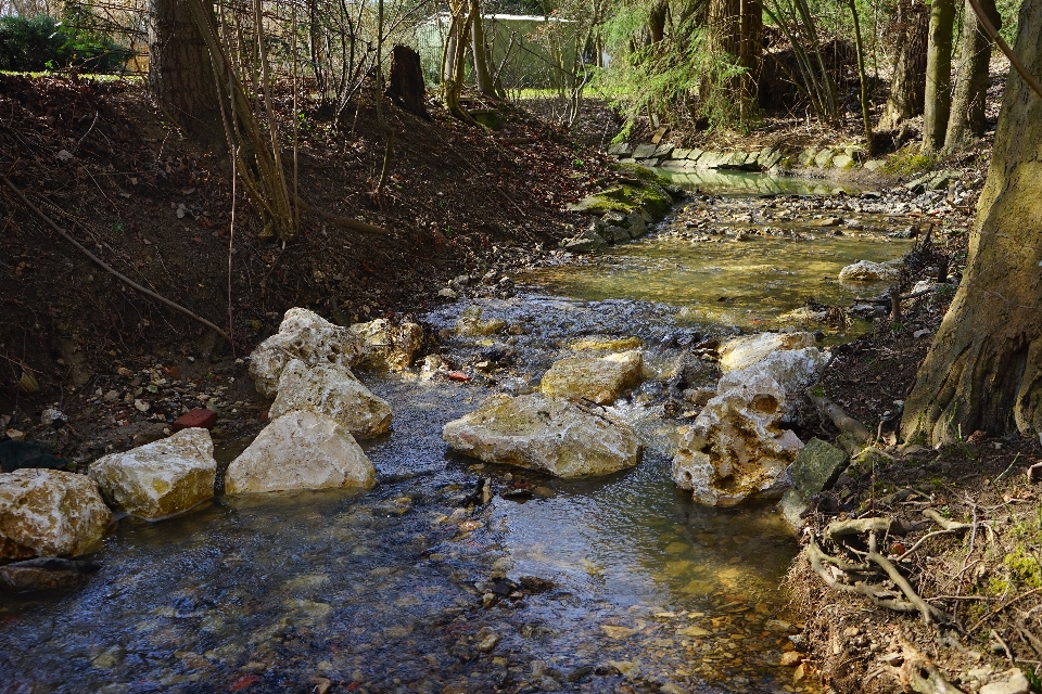 水 自然 森 rock