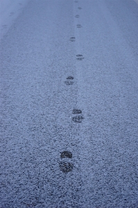 海 水 雪 冬 写真