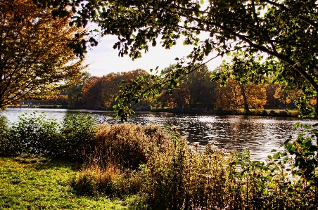 Landscape tree water nature Photo