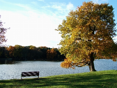 Landscape tree nature outdoor Photo