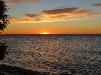 ビーチ 海 海岸 水 写真