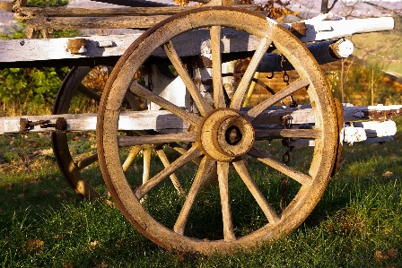 Wood farm wheel cart Photo