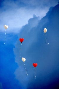 Sea sky flower balloon Photo