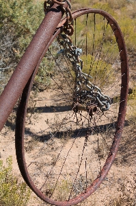 Wood wheel desert bicycle Photo